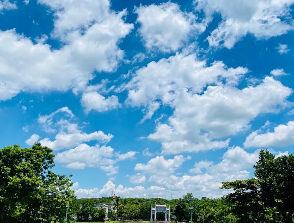 海南：放寬社會資本進入農村的限制！中國大農場時代來臨？(圖1)